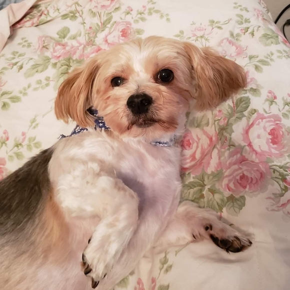 🌻PLEASE LIKE❤ andSHARE TO BE NOTIFIED OF MY LIVES .Thanks so much. God bless!🌻 - Picture 6 of 7